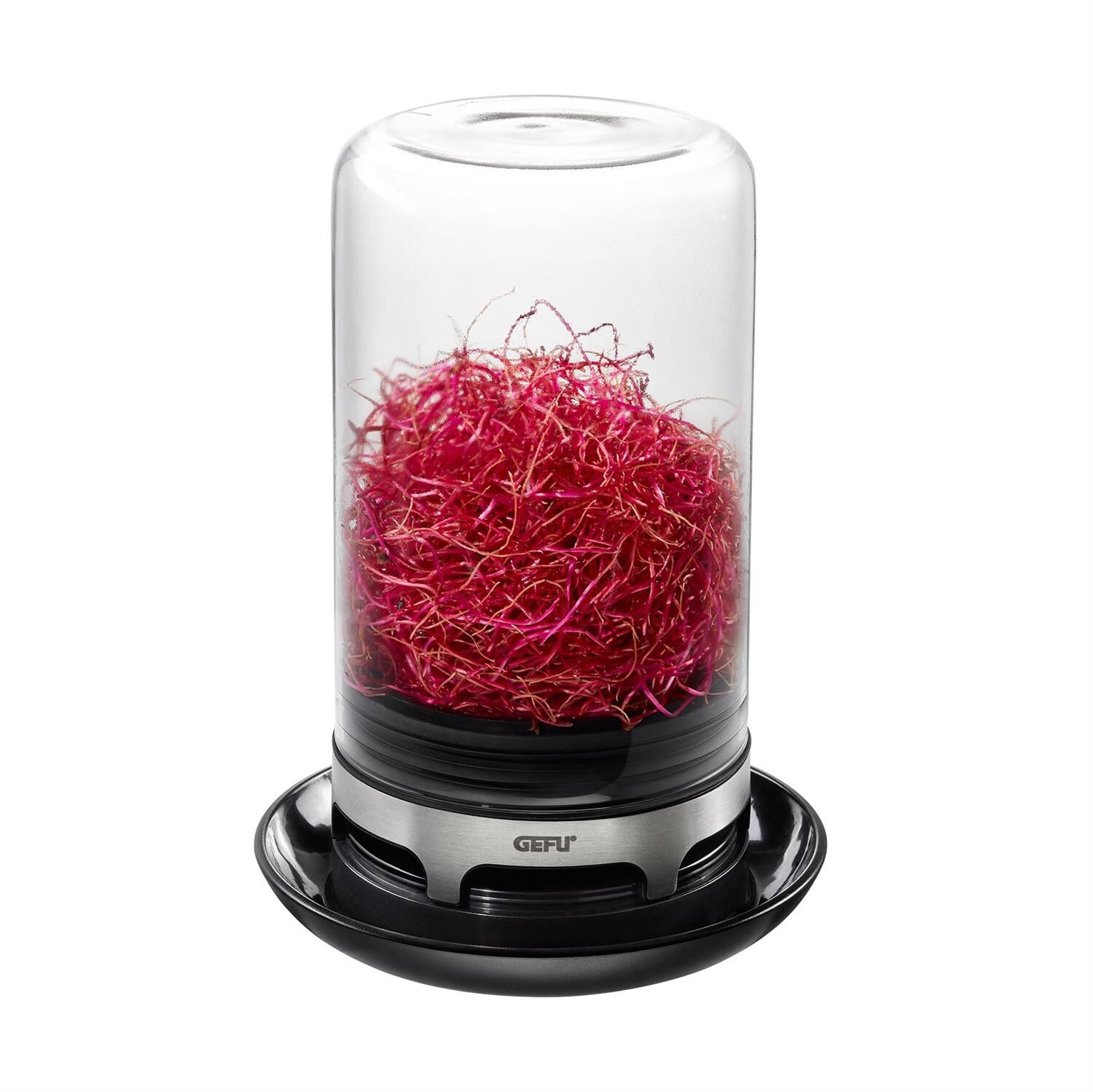 GEFU Sprossenglas BIVITA