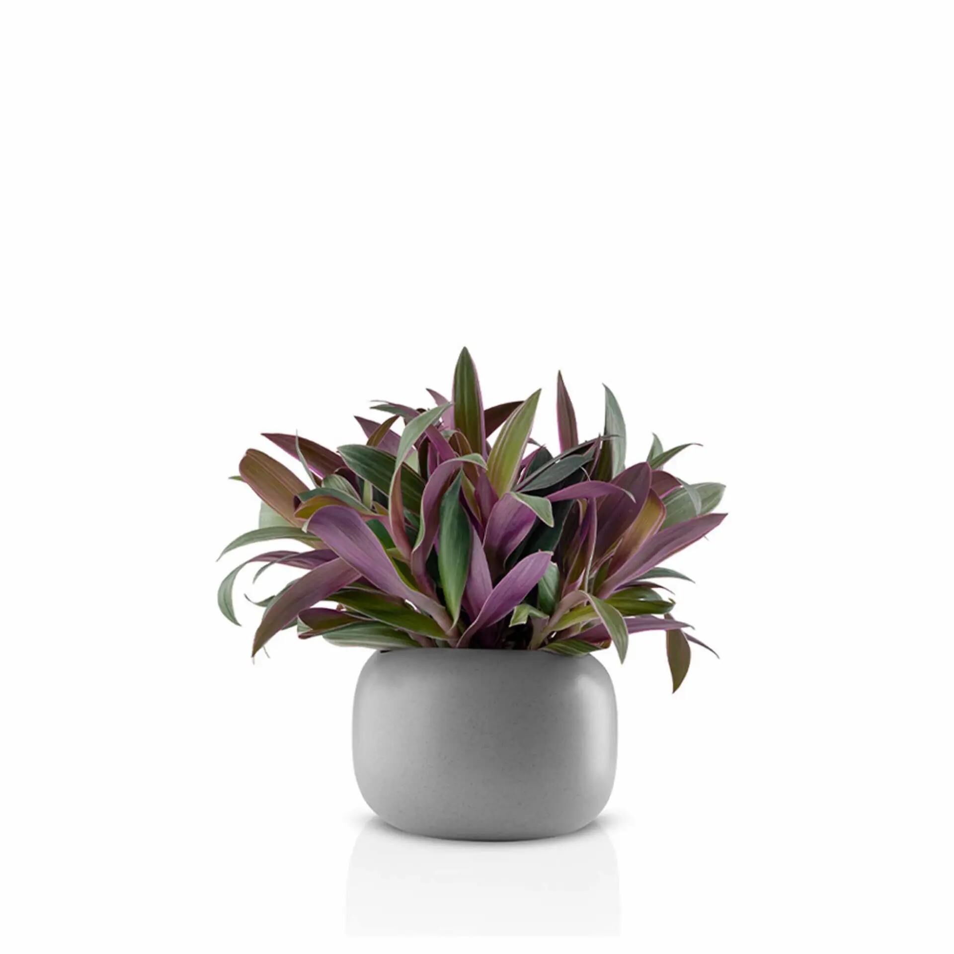 Eva Solo Stone Blumentopf - Ø 16 cm - Keramik