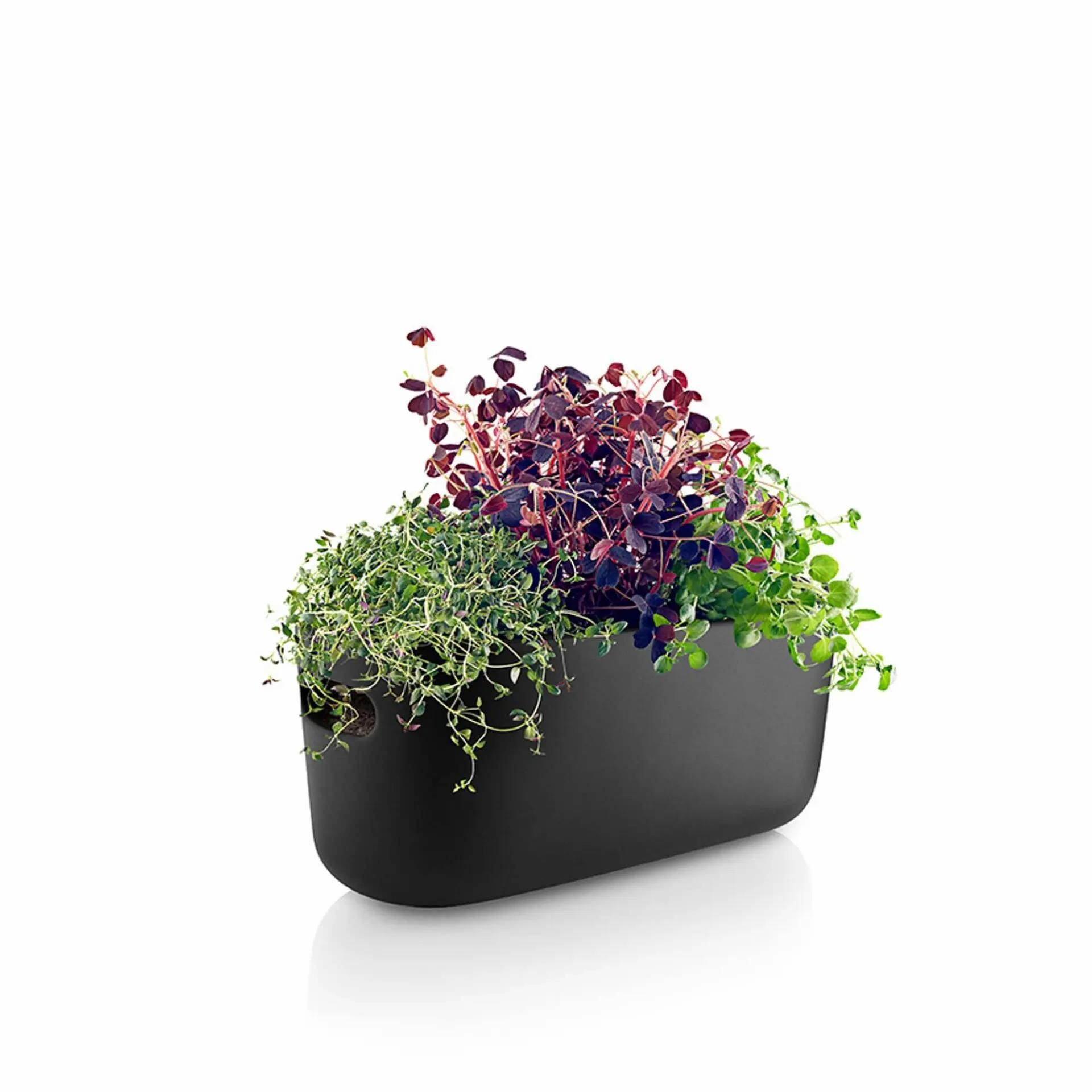 Eva Solo Herb-Organiser - Selbstbewässernder - Schwarz