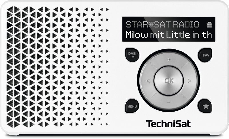 TECHNISAT Radio tragbar 1W DAB+ UKW RDS Akku USB ws-si