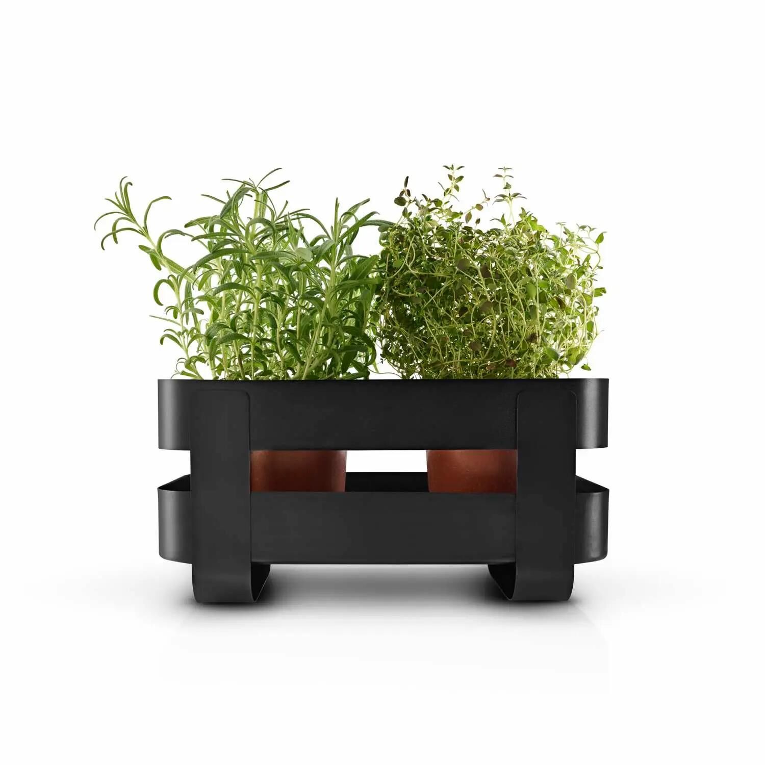 Eva Solo Herb Organiser mit Selbstbewässerung Stahl - Black