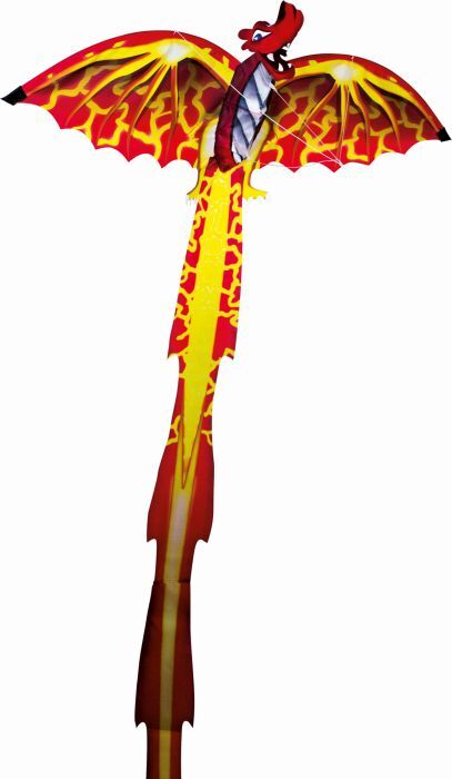 Paul Günther Dragon 3D Einleinerdrachen ca. 102 x 320 cm 1136