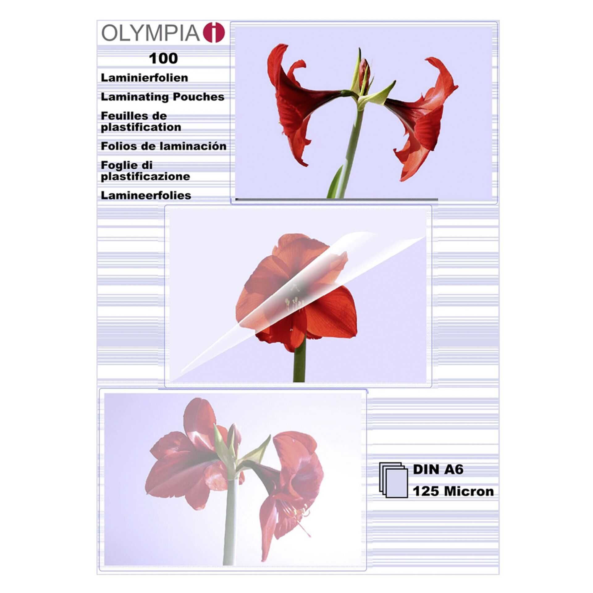 OLYMPIA - Durchsichtig - A6 (105 x 148 mm) 100 Stck. laminiertes Band