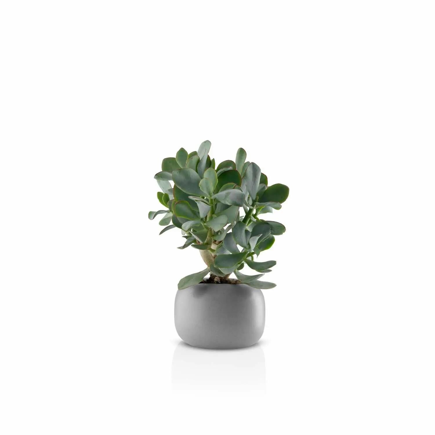 Eva Solo Stone Blumentopf - Ø 16 cm - Keramik