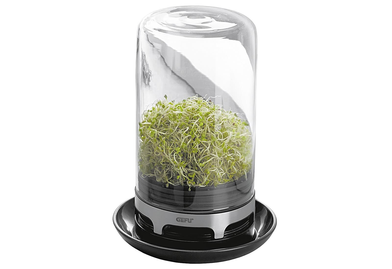 GEFU Sprossenglas BIVITA