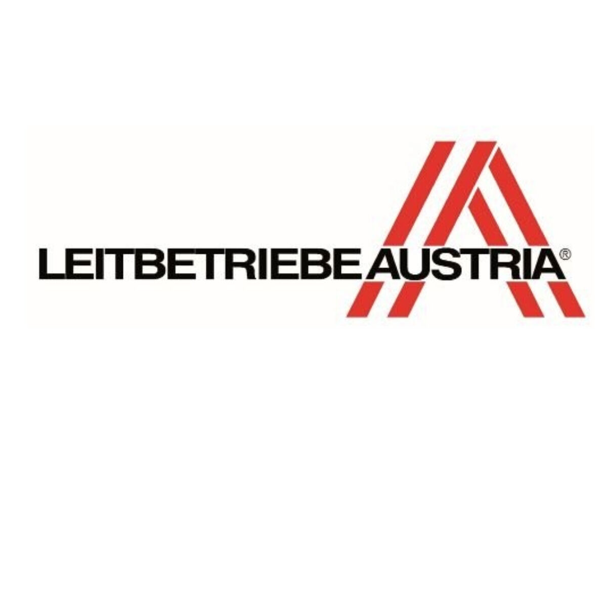 Riess Oma´s Bratpfanne 37/22cm Backform Emaille Schwarz