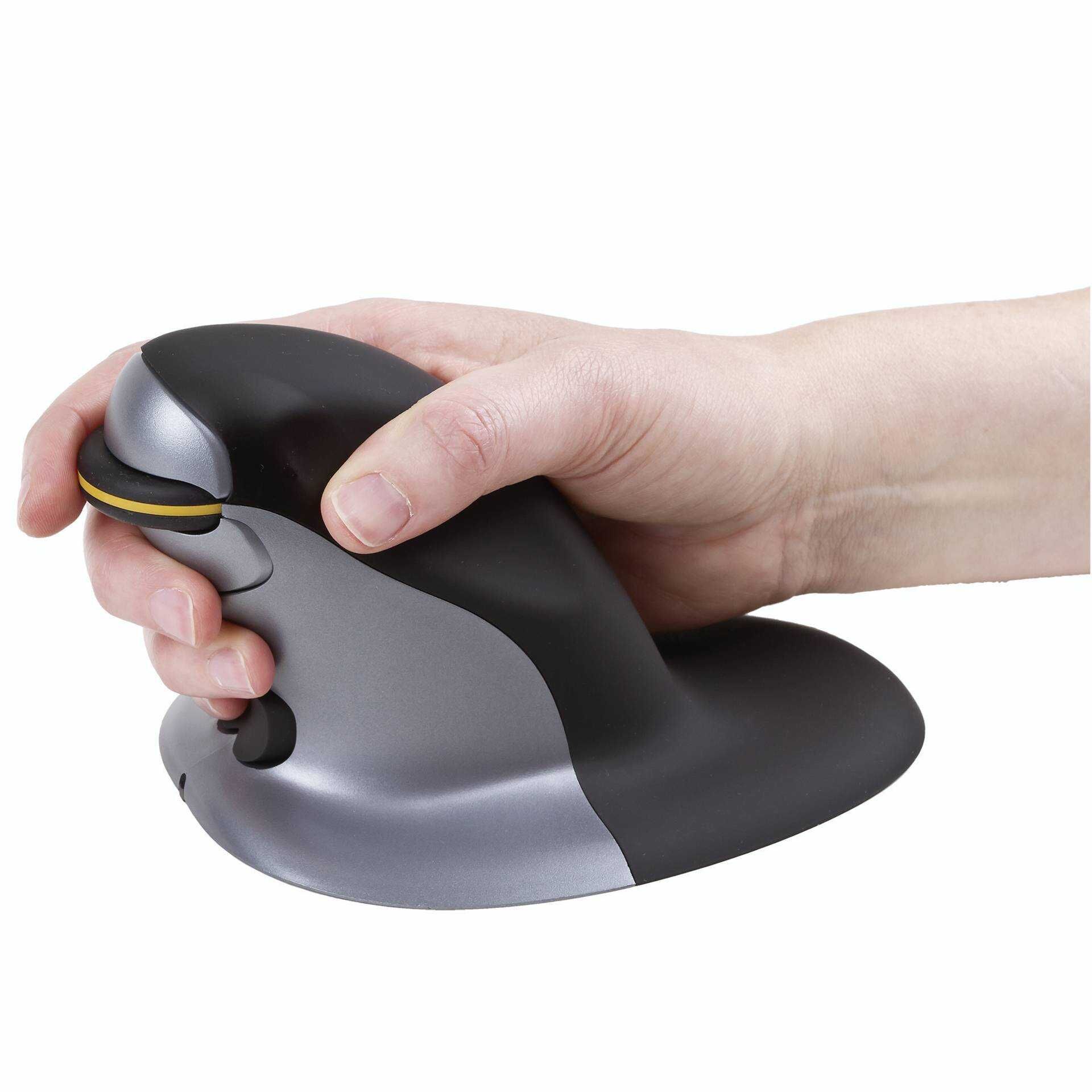 Fellowes Penguin Large - Maus - rechts- und linkshändig - Laser - kabellos - 2.4 GHz