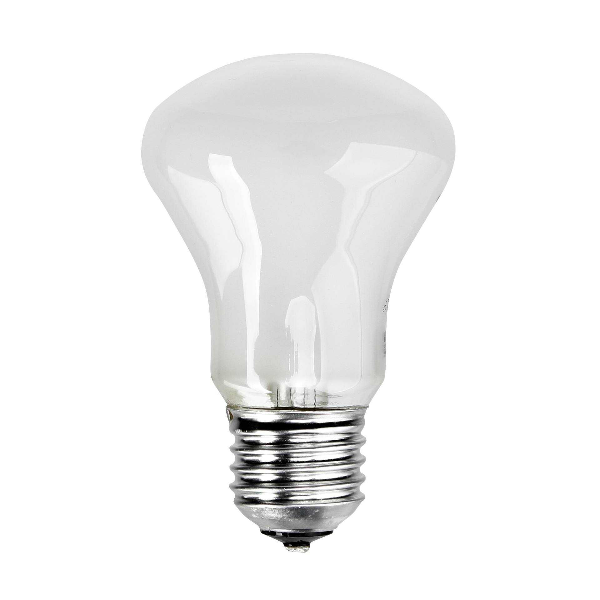 Elinchrom Einstelllicht 196V/100W E 27