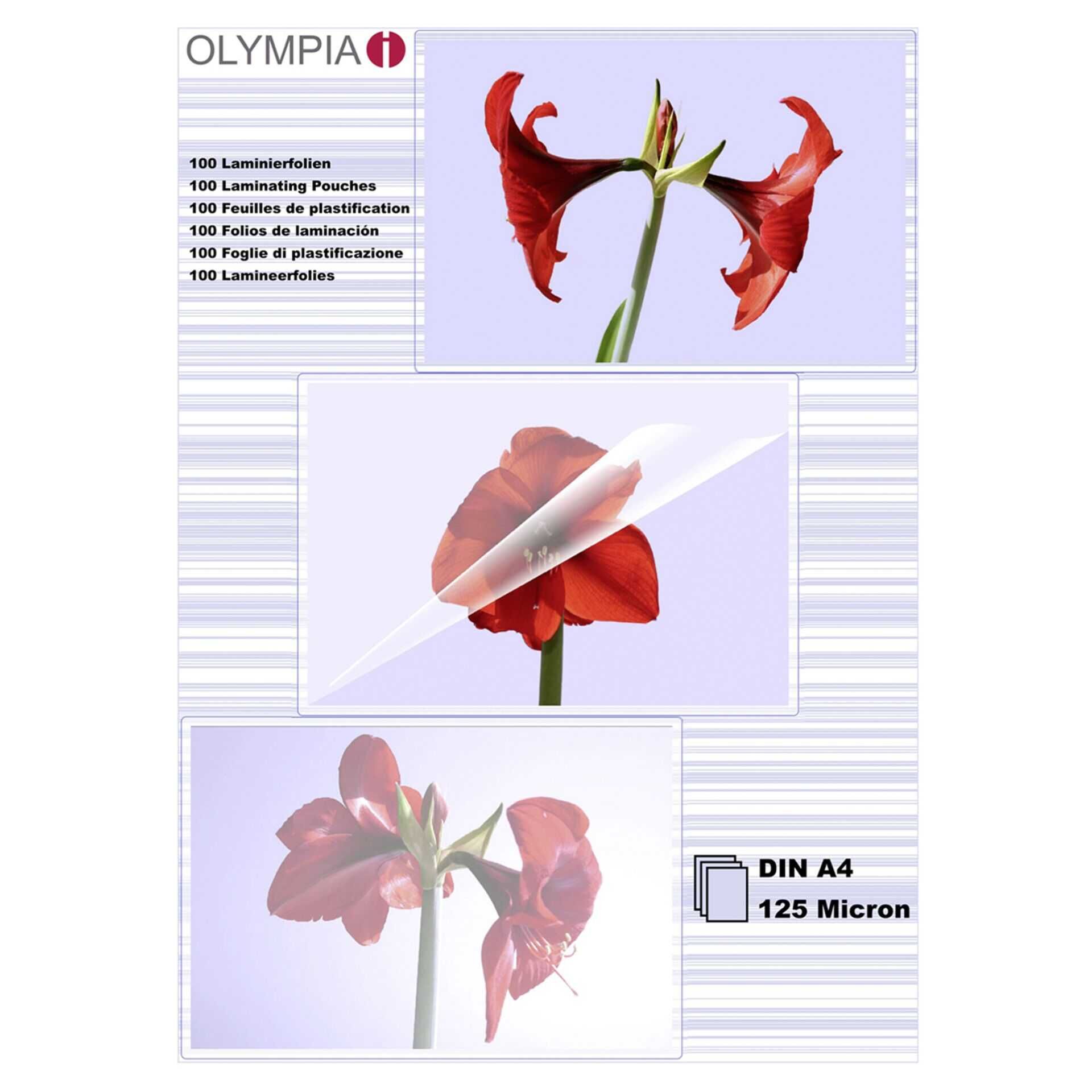 OLYMPIA - A4 (210 x 297 mm) 100 Stck. laminiertes Band