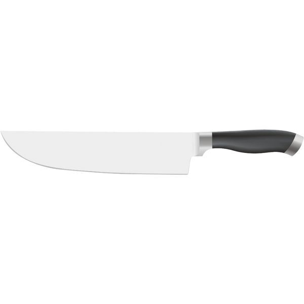 PINTINOX Professional Fleischmesser, Klingenlänge: 200 mm