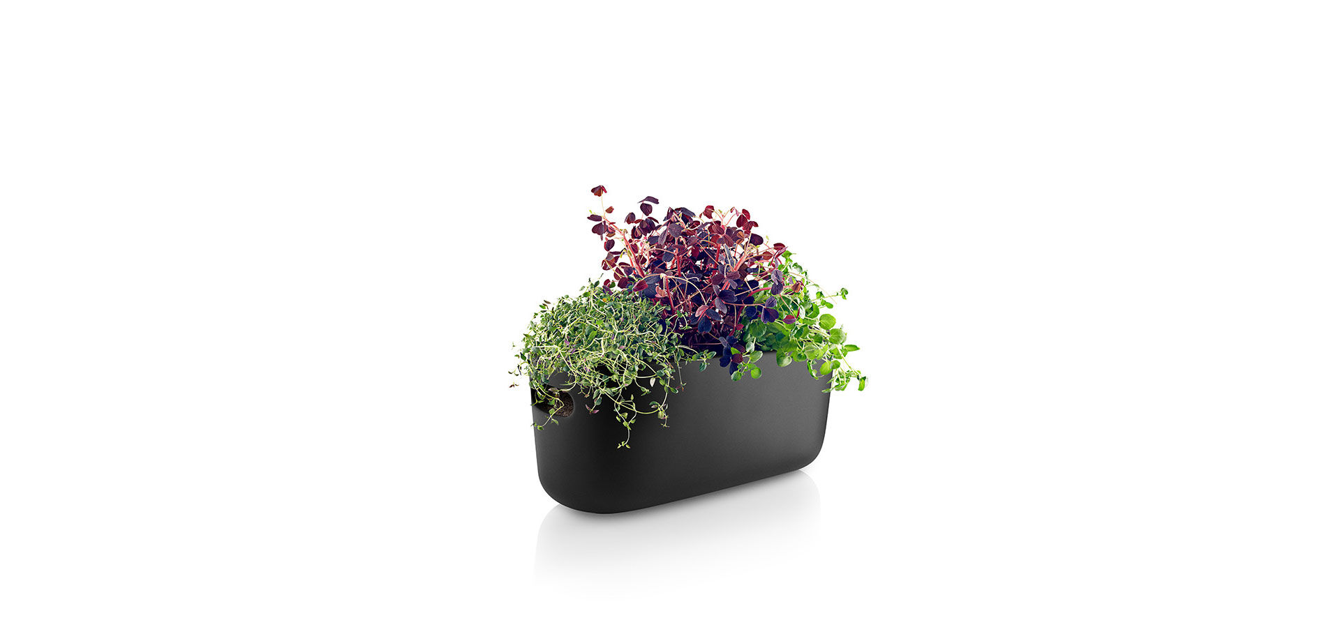 Eva Solo Selbstbewässernder Herb-Organiser Black 31 cm