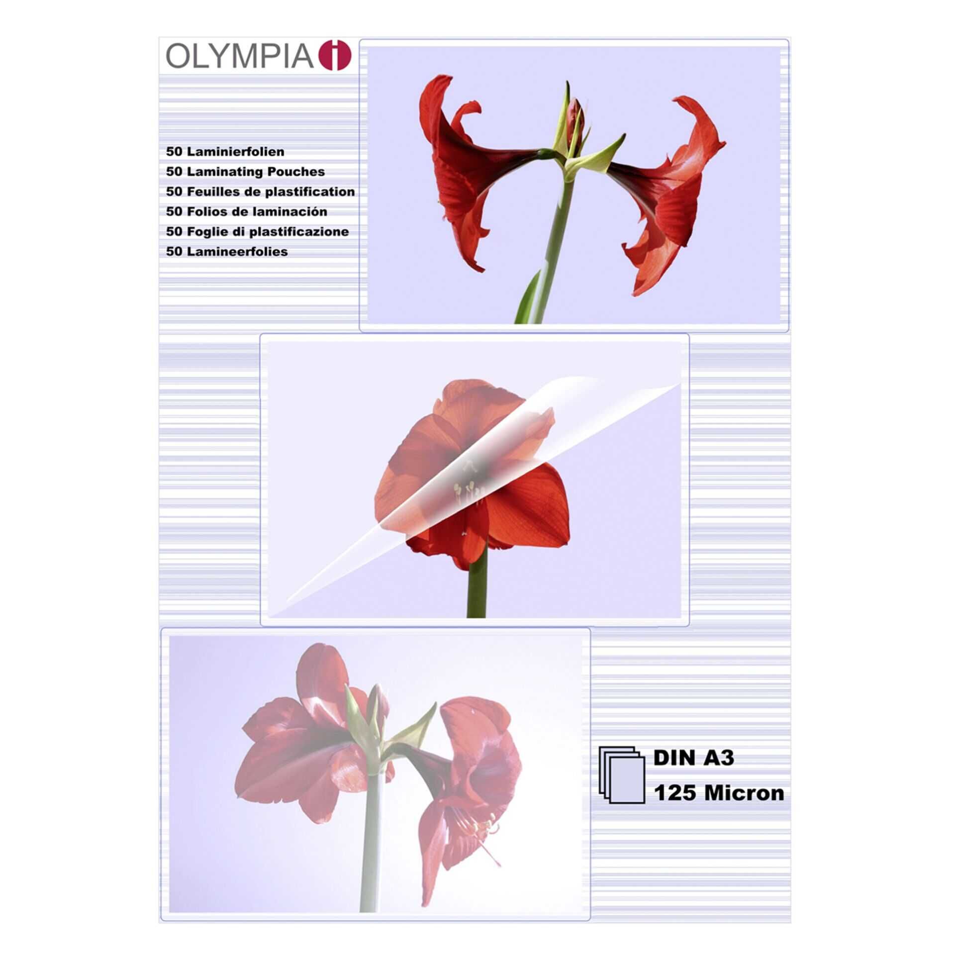 OLYMPIA - A3 (297 x 420 mm) 100 Stck. laminiertes Band