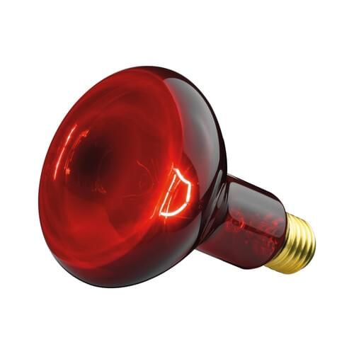 Beurer Ersatzstrahler 100 Watt von Philips für Infrarotlampe