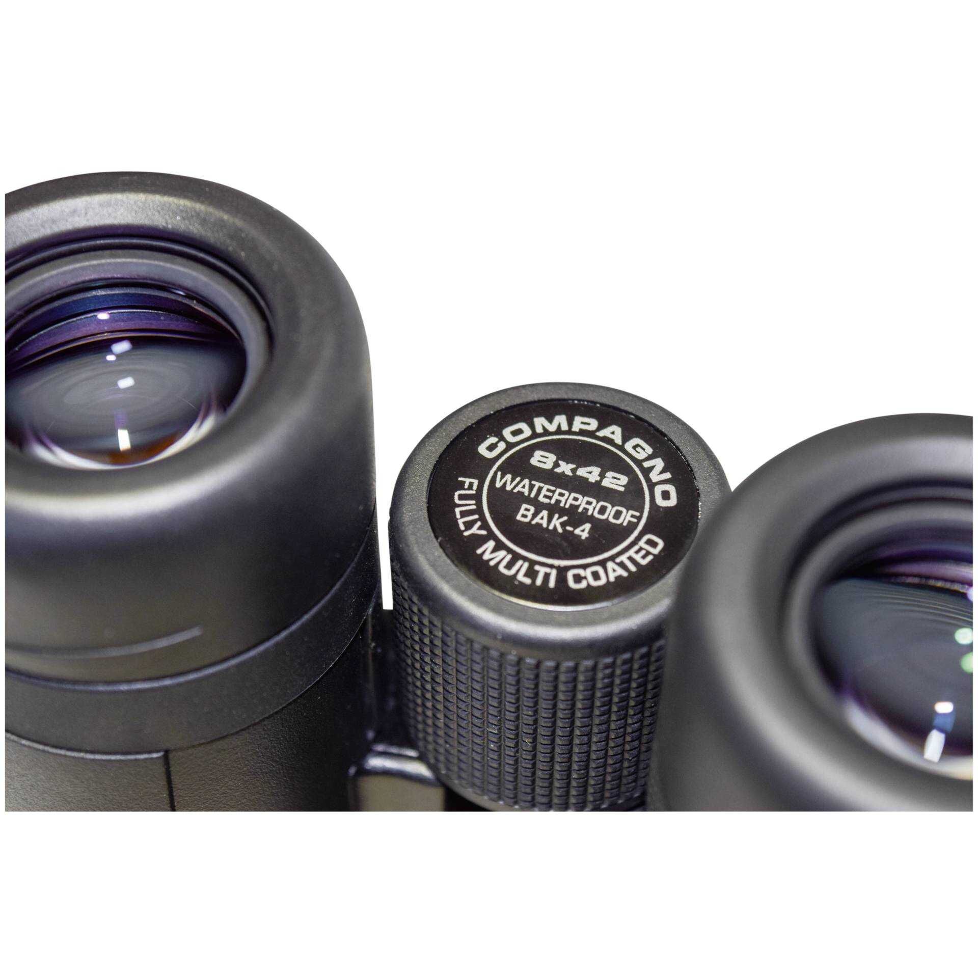 BRAUN Compagno - Fernglas 8 x 42 WP - gegen Beschlagen geschützt, wasserfest - Dachkant